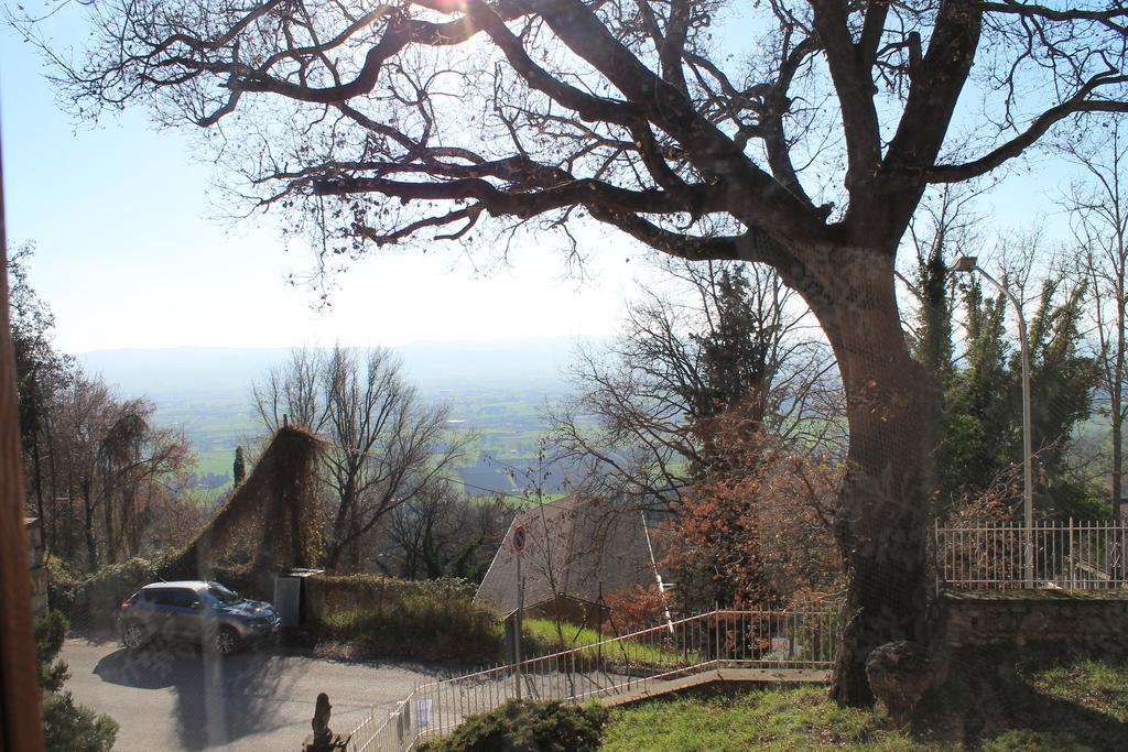 Sogni D'assisi *
