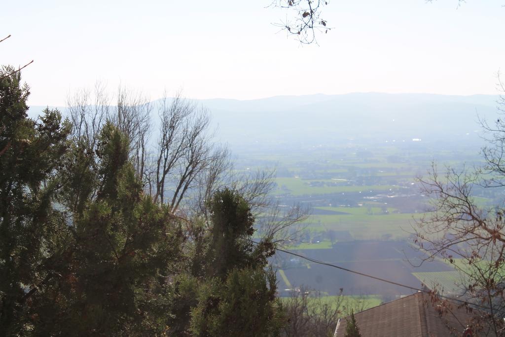 Sogni D'assisi Bed & Breakfast *